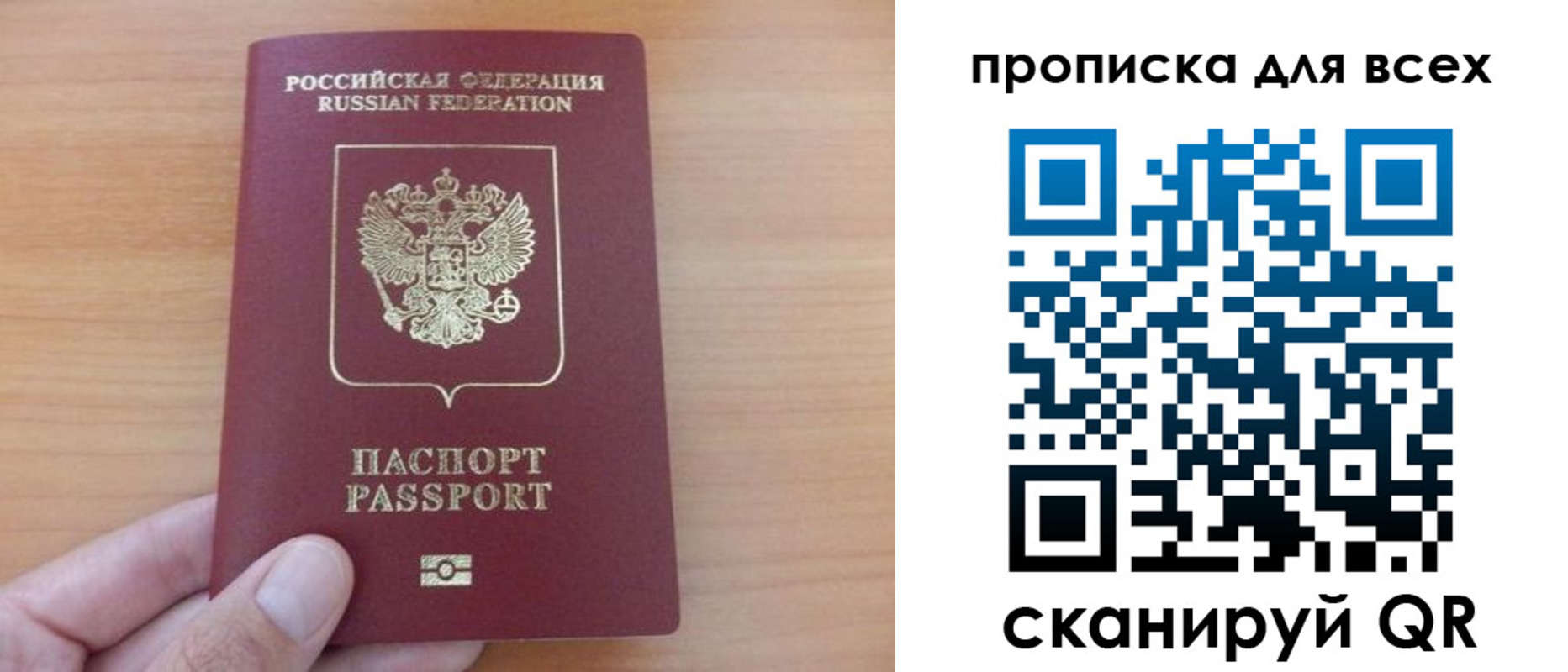 прописка поиск в Ногинске